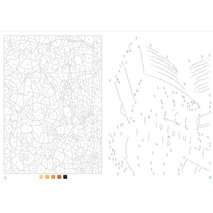 100 Mystery Illustrations To Unveil: A Color-by-Number and Dot-to-Dot Book