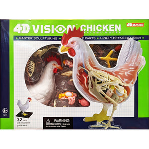 4D Vision Chicken Anatomy Model Kit