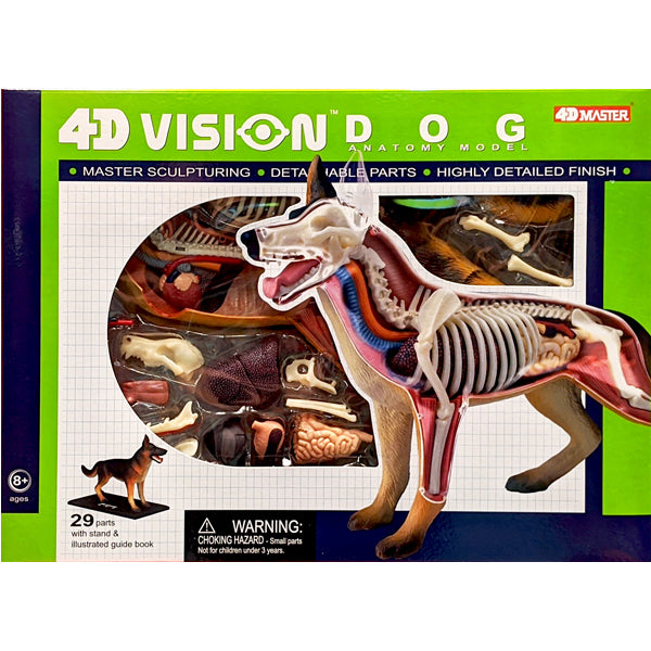 4D Vision Dog Anatomy Model Kit | Terra Toys