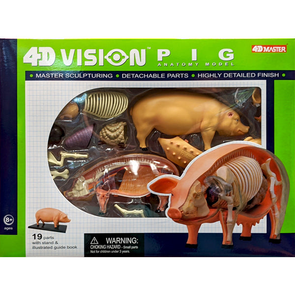 4D Vision Pig Anatomy Model Kit