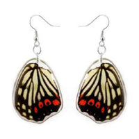 Black & White Butterfly Wing Earrings