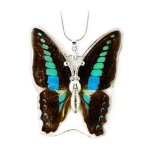 Blue Bottle Swallowtail Real Butterfly Necklace