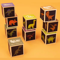 Dinosaur Blocks (9pc)