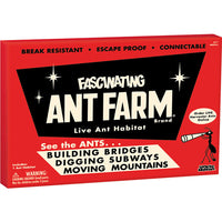 Fascinating Ant Farm
