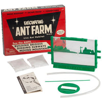 Fascinating Ant Farm
