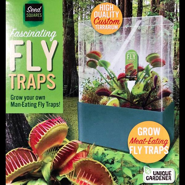 Fascinating Fly Traps