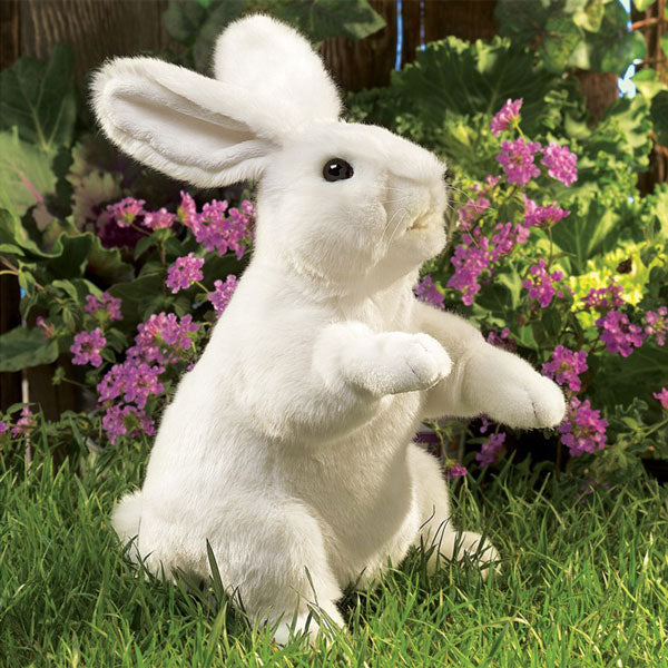Standing White Rabbit