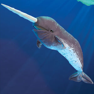 Narwhal Puppet