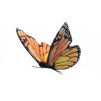 Hansa Butterfly (5.5in)