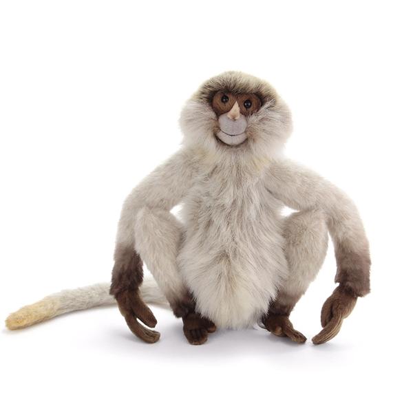 Hansa Spider Monkey (12