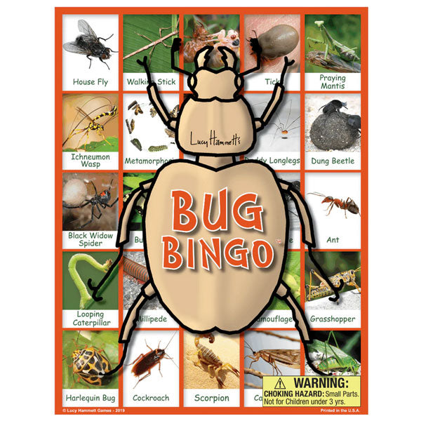 Lucy Hammett's Bug Bingo