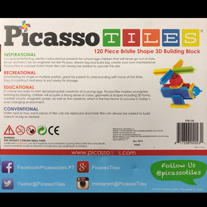 Picasso Tiles Bristle Blocks