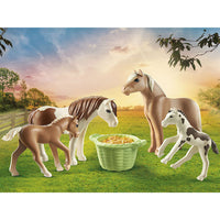 Playmobil Icelandic Ponies with Foals
