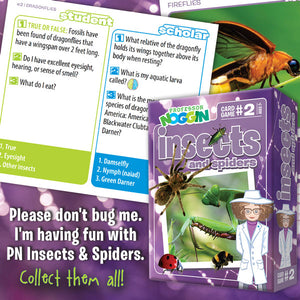Professor Noggin Insects and Spiders Card Game