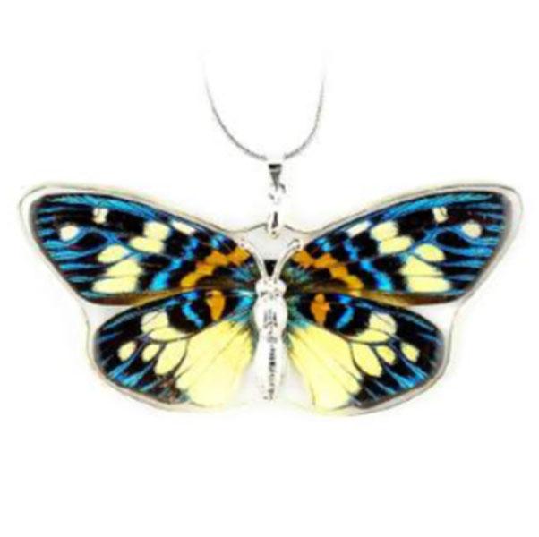 Satsuma Nishiki Real Butterfly Necklace