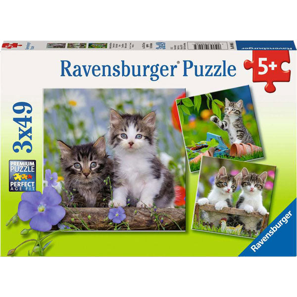 Striped Kittens - 3 Puzzles (49pc)