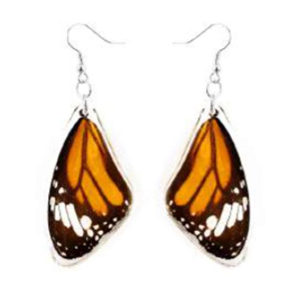 Striped Tiger Butterfly Wing Earrings