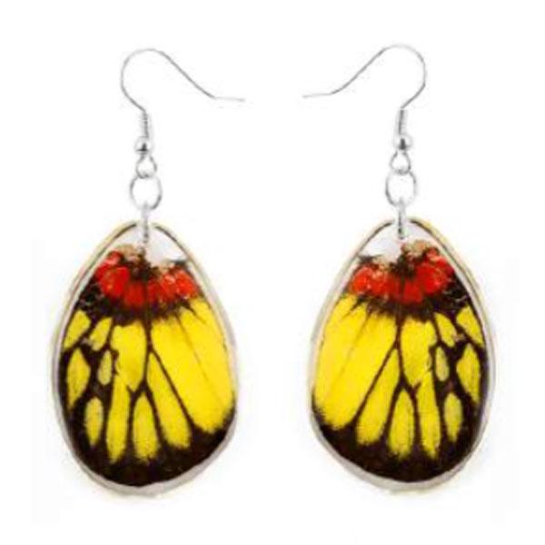 Yellow Black Orange Butterfly Wing Earrings